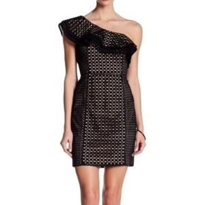 J. Crew One Shoulder Ruffle Dress in Eyelet Sz 12